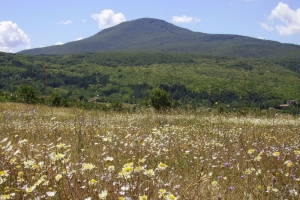 monte-amiata