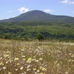 L'Amiata tra natura e tradizioni